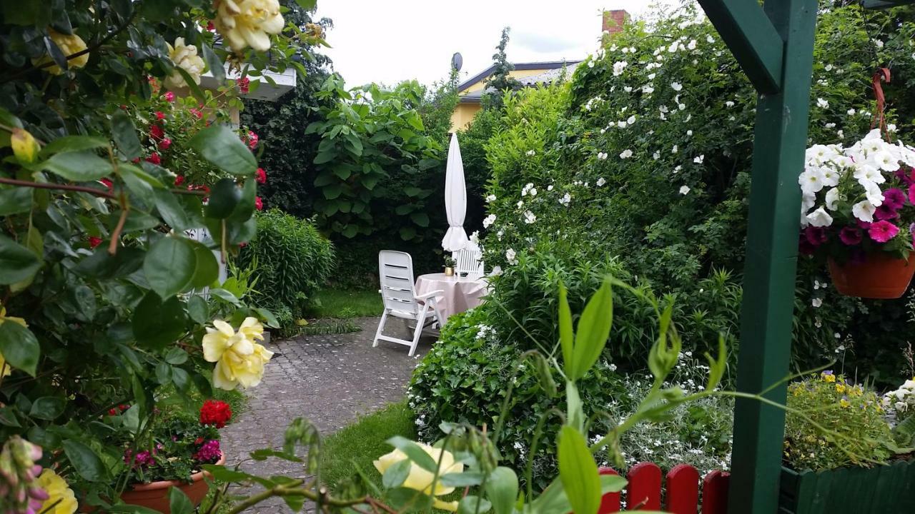Haus Sandra Heringsdorf  Exterior photo